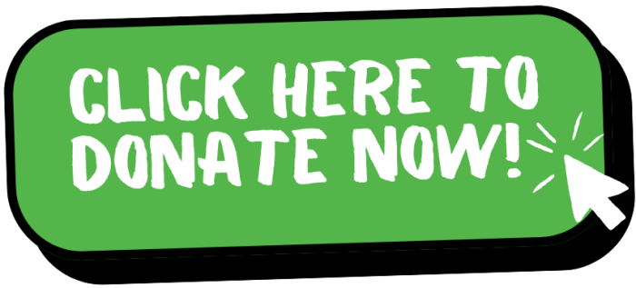 donate-button